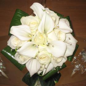 fwthumbnew flower pictures 160.jpg